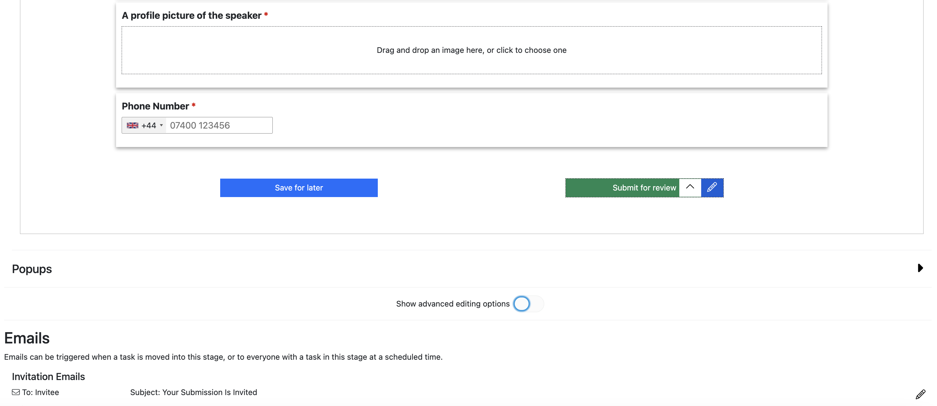 Screenshot of the bottom of the form showing the effect of hovering over the ‘Submit for Review’ button