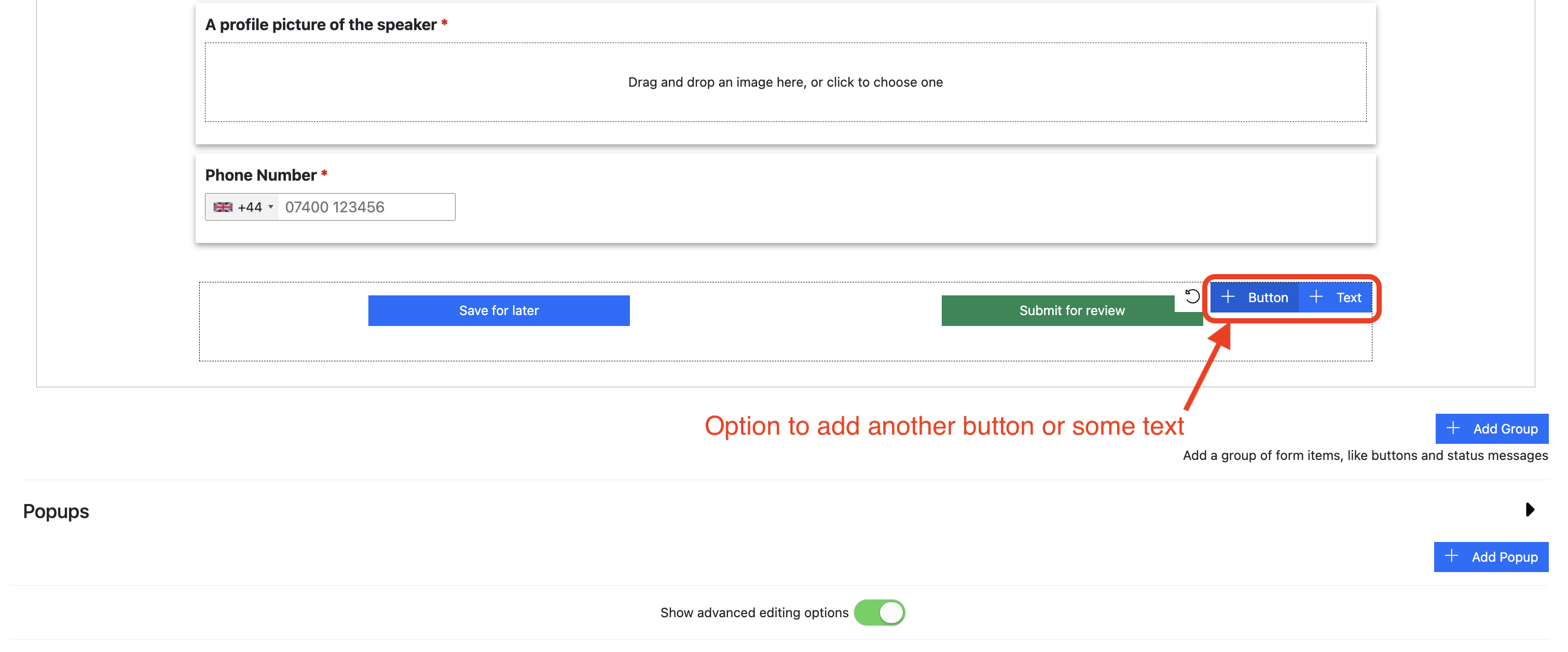 Screenshot of the Speaker Task Form showing the option to add a new button or new text